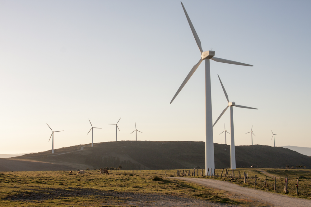 Climate Resilience - Windmills in field