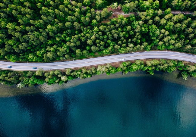 car driving through forest